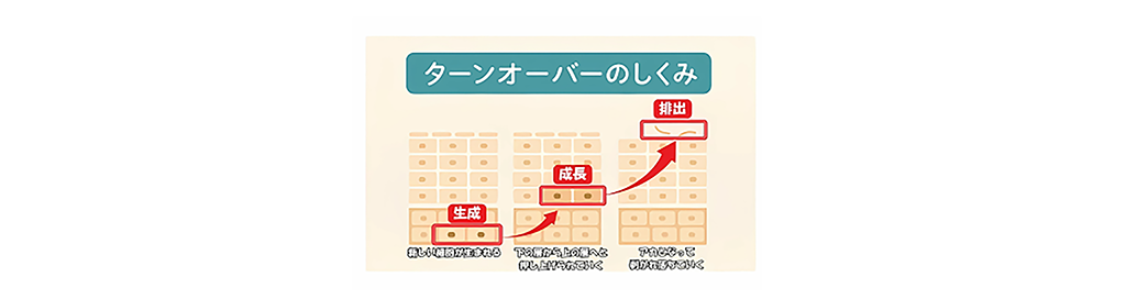 ターンオーバー解説